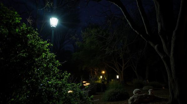 Top raisons de choisir une nuitée au zoo de La Flèche